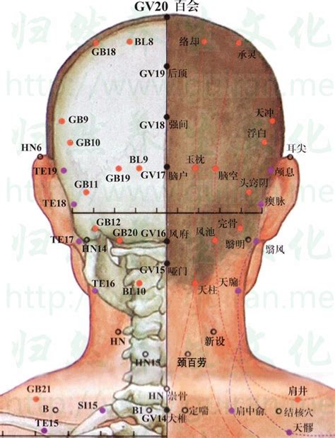 腦清穴